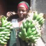 VIDEO: Woman caught stealing matooke for Christmas