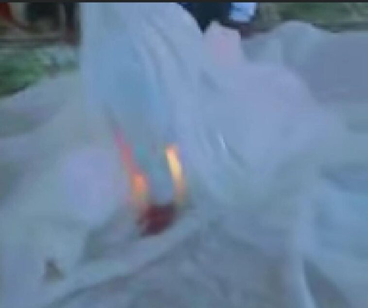 VIDEO: Dr. Kuluthum shows off Solar panel gown during her wedding ceremony