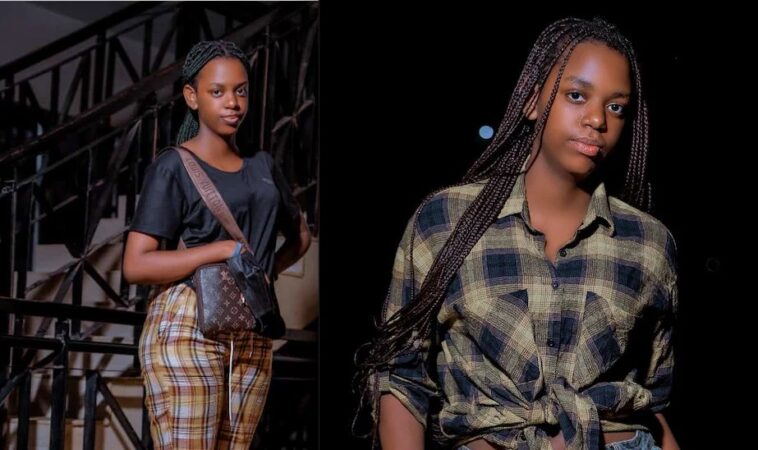 List of S3xtapes released this year