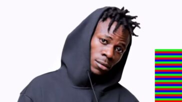 VIDEO: Watch Alien Skin get arrested like chicken thief