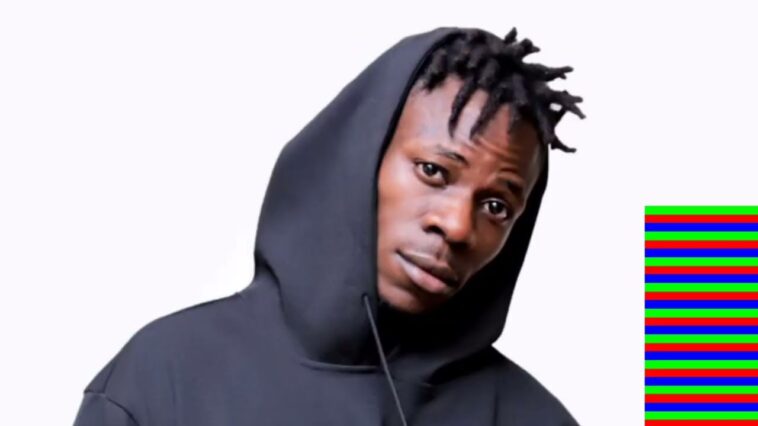 VIDEO: Alien Skin attacks Bobi Wine, says he is nothing in his music career