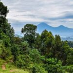 Uganda listed in best countries to be visited 2023 CNN