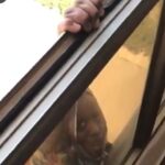 Video: Evil woman refuses to help fellow woman from falling to death