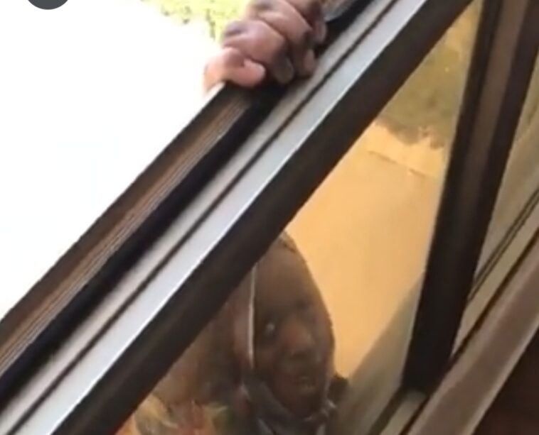 Video: Evil woman refuses to help fellow woman from falling to death