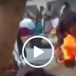 VIDEO: Witchcraft! Bees attack an introduction ceremony chasing everyone