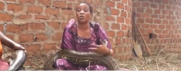 VIDEO: Ugandan woman gives birth to twins snakes