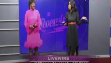 VIDEO: Watch Spark TV’s Livewire presenters fight live on air