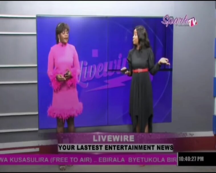 VIDEO: Watch Spark TV’s Livewire presenters fight live on air