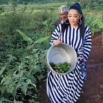 Video: Zari picks egg plants and garden eggs from her garden