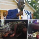 VIDEO: Watch UPDF Army man shoot Minister Charles Engola and himself dead