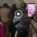 VIDEO: Watch Pallaso beat up Alien Skin like a baby