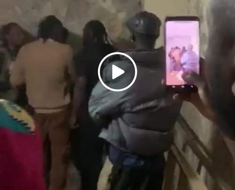 VIDEO: Watch Pallaso beat up Alien Skin like a baby