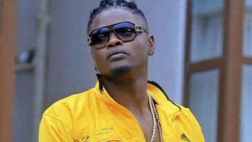 SCREENSHOT: Here is Pallaso’s full apology to Alien Skin