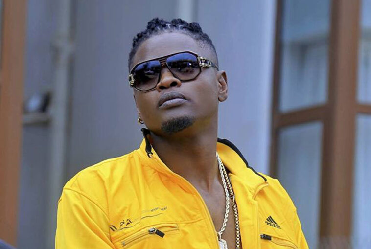 SCREENSHOT: Here is Pallaso’s full apology to Alien Skin