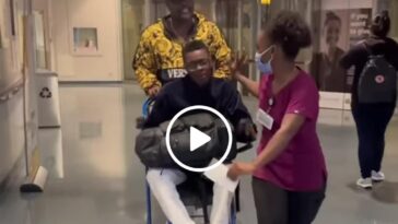 VIDEO: Jose Chameleon discharged from hospital