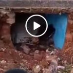 VIDEO: Danz Kumapeesa’s grave dug and his remains taken to another grave