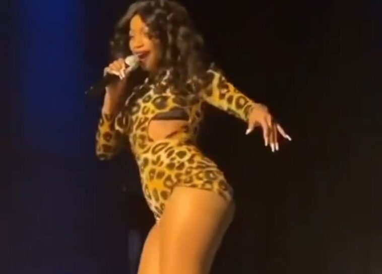 VIDEO: Songstress Sheebah Karungi leaves men pocketing