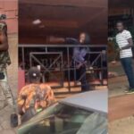 VIDEO: Did Kid Dee chew Grace Khan? Here is the truth