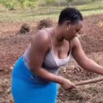 VIDEO: Awww – Beautiful queen leaves netizens wowed with hoe skills