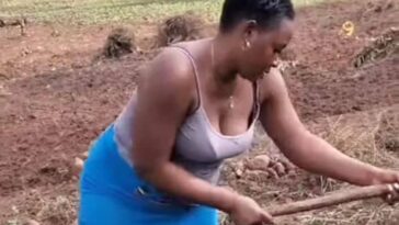 VIDEO: Awww – Beautiful queen leaves netizens wowed with hoe skills