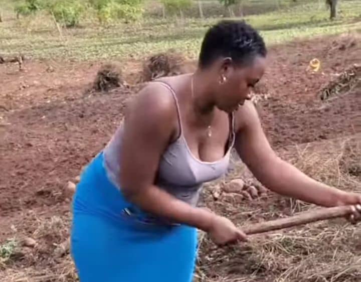 VIDEO: Awww – Beautiful queen leaves netizens wowed with hoe skills