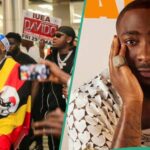 Davido’s huge sum for Ugandan performance revealed